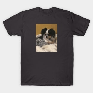 Long hair Chihuahua T-Shirt